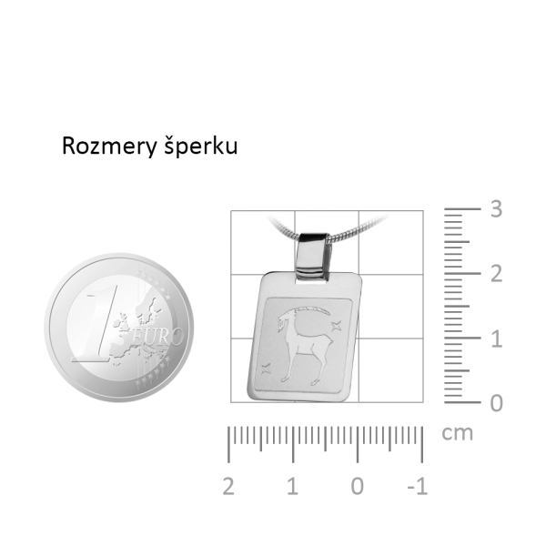 Zlatý prívesok Znamenie Kozorožec - platnička